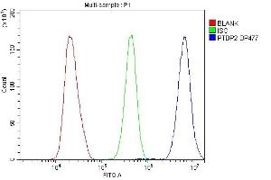 Flow Cytometry analysis of HeLa cells using anti-PTBP2 antibody (ABIN7599452). (PTBP2 antibody  (AA 1-504))