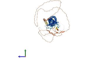 AlphaFold protein structure predicition of Mouse Recombinant Jph4 Protein, UniprotID Q80WT0 (Junctophilin 4 Protein (JPH4) (AA 1-628) (His tag))