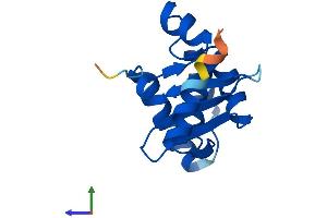AlphaFold protein structure predicition of Human Recombinant ZSWIM7 Protein, UniprotID Q19AV6