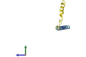 AlphaFold protein structure predicition of Human Recombinant CTXN1 Protein, UniprotID P60606 (Cortexin 1 (CTXN1) (AA 1-82) protein (Fc Tag))