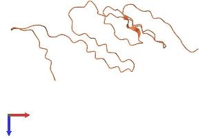 Keratin Associated Protein 2-2 (KRTAP2-2) (AA 1-123) protein (His tag)
