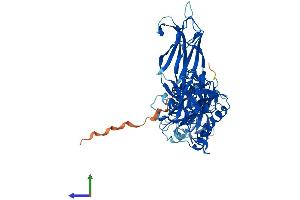 AlphaFold protein structure predicition of Human Recombinant CPNE2 Protein, UniprotID Q96FN4 (Copine II Protein (CPNE2) (AA 1-548) (His tag))