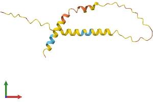 AlphaFold protein structure predicition of Human Recombinant RFPL3S Protein, UniprotID P0C7P2 (RFPL3 Antisense Protein (RFPL3S) (AA 1-107) (His tag))