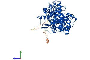 AlphaFold protein structure predicition of Human Recombinant FNTB Protein, UniprotID P49356 (FNTB Protein (AA 1-437) (His tag))