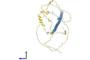 AlphaFold protein structure predicition of Human Recombinant ATF4 Protein, UniprotID P18848 (ATF4 Protein (AA 1-351) (His tag))