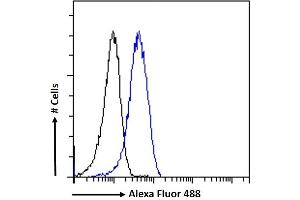 Flow Cytometry (FACS) image for anti-Leptin Receptor (LEPR) (Internal Region) antibody (ABIN185639)