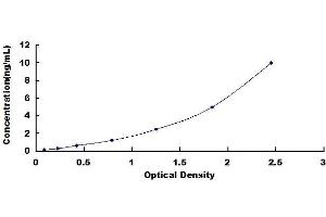 Killer Cell Lectin-Like Receptor Subfamily D, Member 1 (KLRD1) ELISA Kit