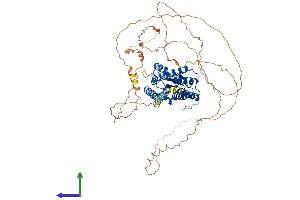 Protein Structure (PS) image for Torsin A Interacting Protein 1 (TOR1AIP1) (AA 1-595) protein (His tag) (ABIN7560205)