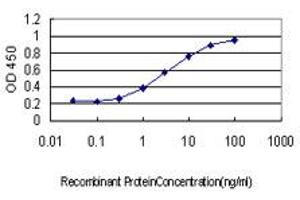 Detection limit for recombinant GST tagged GEM is approximately 0. (GEM antibody  (AA 1-100))