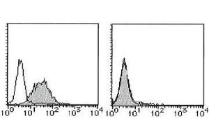 Flow Cytometry (FACS) image for anti-CD274 (PD-L1) antibody (Biotin) (ABIN2853592) (PD-L1 antibody  (Biotin))