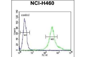 LR4 Antibody (C-term) (ABIN651164 and ABIN2840106) flow cytometric analysis of NCI- cells (right histogram) compared to a negative control cell (left histogram). (LPPR4 antibody  (C-Term))