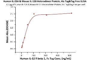 Immobilized Human IL-23A & Mouse IL-12B Heterodimer Protein, His Tag&Tag Free (6) at 2 μg/mL (100 μL/well) can bind Human IL-12 R beta 1, Fc Tag (ABIN6731330,ABIN6809859) with a linear range of 5-78 ng/mL (QC tested).