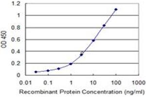 Detection limit for recombinant GST tagged MLLT6 is 0. (MLLT6 antibody  (AA 1-462))