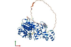 AlphaFold protein structure predicition of Mouse Recombinant Trdmt1 Protein, UniprotID O55055