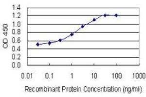 Detection limit for recombinant GST tagged ARPM1 is 0. (ARPM1 antibody  (AA 24-124))