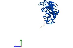 AlphaFold protein structure predicition of Mouse Recombinant Ogfod3 Protein, UniprotID Q9D136