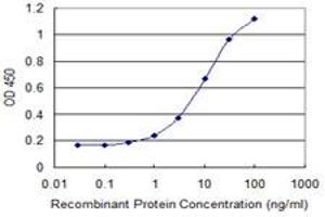 Detection limit for recombinant GST tagged BMP5 is 0. (BMP5 antibody  (AA 341-440))