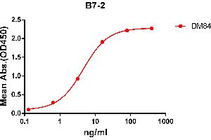 ELISA plate pre-coated by 2 μg/mL (100 μL/well) Human B7-2 protein, mFc-His tagged protein ((ABIN6961107, ABIN7042243 and ABIN7042244)) can bind Rabbit anti-B7-2 monoclonal antibody(clone: DM84) in a linear range of 1-100 ng/mL. (CD86 antibody  (AA 26-247))