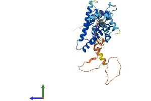 Protein Structure (PS) image for Nuclear Receptor Subfamily 2, Group E, Member 1 (NR2E1) (AA 1-385) protein (His tag) (ABIN7549872)