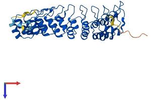 Ankyrin Repeat Domain 16 (ANKRD16) (AA 1-361) protein (His tag)
