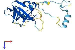 AlphaFold protein structure predicition of Human Recombinant ERVK-7 Protein, UniprotID P63131 (ERVK-7 Protein (AA 1-156) (His tag))