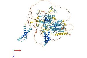 MDM2 Binding Protein (MTBP) (AA 1-904) protein (His tag)