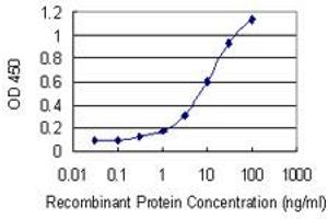 Detection limit for recombinant GST tagged FZD4 is 0. (FZD4 antibody  (AA 107-206))