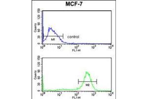Flow cytometry analysis of MCF-7 cells (bottom histogram) compared to a negative control cell (top histogram). (CHPF antibody  (AA 327-354))