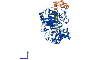 Protein Structure (PS) image for ST8 alpha-N-Acetyl-Neuraminide alpha-2,8-Sialyltransferase 4 (ST8SIA4) (AA 1-359) protein (His tag) (ABIN7546022)