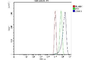 Flow Cytometry analysis of PC-3 cells using anti-ZNRF3 antibody (ABIN7602004). (ZNRF3 antibody  (AA 54-913))
