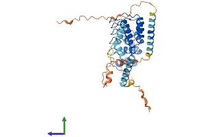 Protein Structure (PS) image for Ankyrin Repeat Domain 2 (Stretch Responsive Muscle) (ANKRD2) (AA 1-360) protein (His tag) (ABIN7552092)
