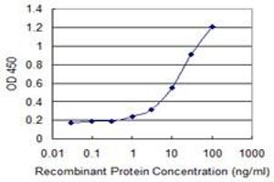 Detection limit for recombinant GST tagged EFEMP2 is 0. (FBLN4 antibody  (AA 26-443))
