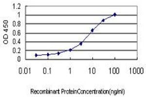 Detection limit for recombinant GST tagged GUCY2D is approximately 0. (GUCY2D antibody  (AA 521-630))