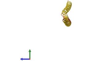 AlphaFold protein structure predicition of Mouse Recombinant Fam25c Protein, UniprotID Q8CF02 (FAM25C Protein (AA 1-89) (Fc Tag))