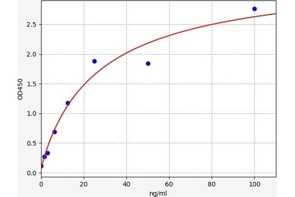 Hepcidin 25 ELISA Kit