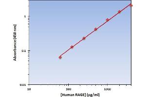 This is an example of what a typical standard curve will look like. (RAGE ELISA Kit)