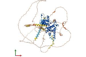 AlphaFold protein structure predicition of Human Recombinant CCNT1 Protein, UniprotID O60563 (Cyclin T1 Protein (CCNT1) (AA 1-726) (His tag))