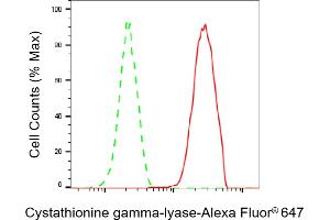 Flow cytometric analysis of Cystathionine gamma-lyase expression in HAP-1 cells using Cystathionine gamma-lyase antibody (ABIN7798234), 1:2,000). (Recombinant CTH antibody)