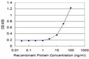 Detection limit for recombinant GST tagged PTGES3 is approximately 3ng/ml as a capture antibody. (PTGES3 antibody  (AA 1-160))