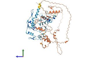 Protein Structure (PS) image for Zinc Finger Protein 248 (ZNF248) (AA 1-579) protein (His tag) (ABIN7545539)