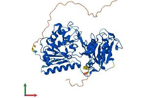 AlphaFold protein structure predicition of Mouse Recombinant B3glct Protein, UniprotID Q8BHT6