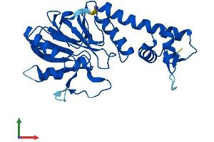 AlphaFold protein structure predicition of Human Recombinant LACTB2 Protein, UniprotID Q53H82 (LACTB2 Protein (AA 1-288) (His tag))