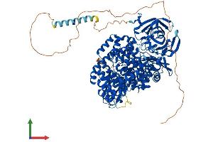 AlphaFold protein structure predicition of Mouse Recombinant Lnpep Protein, UniprotID Q8C129 (LNPEP Protein (AA 1-1025) (His tag))
