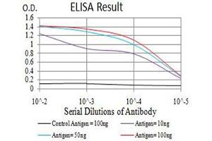 Black line: Control Antigen (100 ng),Purple line: Antigen (10 ng), Blue line: Antigen (50 ng), Red line:Antigen (100 ng) (Aurora A antibody  (AA 268-404))
