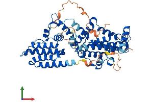 AlphaFold protein structure predicition of Human Recombinant RASGEF1C Protein, UniprotID Q8N431 (RASGEF1C Protein (AA 1-466) (His tag))