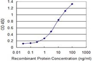 Detection limit for recombinant GST tagged EED is 0. (EED antibody  (AA 342-441))