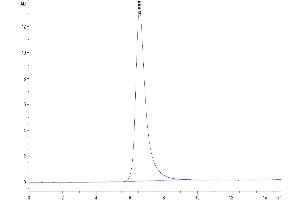 The purity of Human CDCP1 is greater than 95 % as determined by SEC-HPLC. (CDCP1 Protein (His tag))