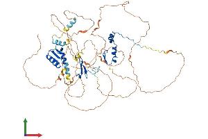 AlphaFold protein structure predicition of Mouse Recombinant Dbf4 Protein, UniprotID Q9QZ41 (DBF4 Protein (AA 1-663) (His tag))