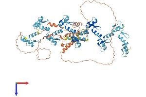 Protein Structure (PS) image for Zinc Finger Protein 227 (ZNF227) (AA 1-799) protein (His tag) (ABIN7545312)