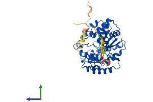 AlphaFold protein structure predicition of Mouse Recombinant Sult2b1 Protein, UniprotID O35400 (SULT2B1 Protein (AA 1-338) (His tag))